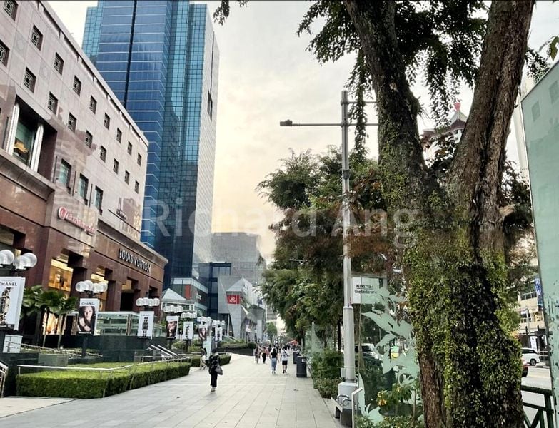 5 Bed Condo for Sale in  Zion Road - Image 12