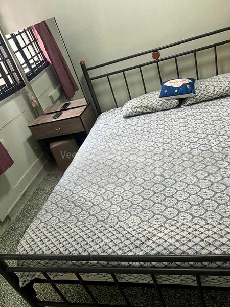 Master Room (HDB) for Rent in 255 Ang Mo Kio Avenue 4 - Image 6