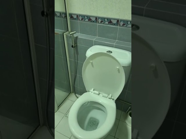 Master Room (HDB) for Rent in 255 Ang Mo Kio Avenue 4 - Image 8