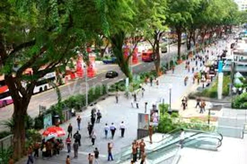 Shop / Shophouse for Rent: Orchard Road Space - Image 2