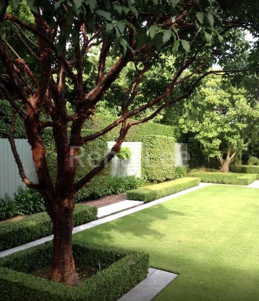 8 Bed Bungalow (Landed) for Sale in Jalan Binjai - Image 11