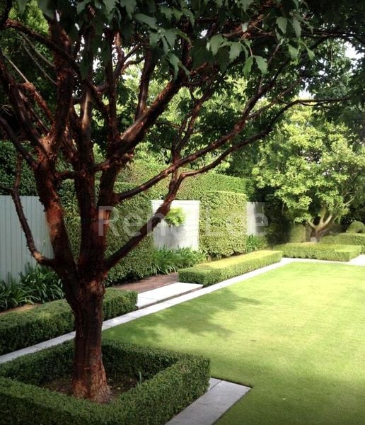 8 Bed Bungalow (Landed) for Sale in Jalan Binjai - Image 6