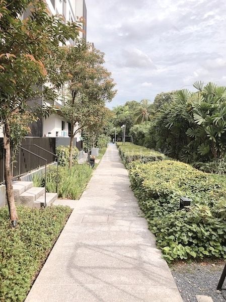 2 Bed Condo for Rent in  Village @ Pasir Panjang - Image 8