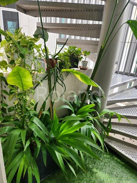 1 Bed Condo for Rent in  Tribeca - Image 18