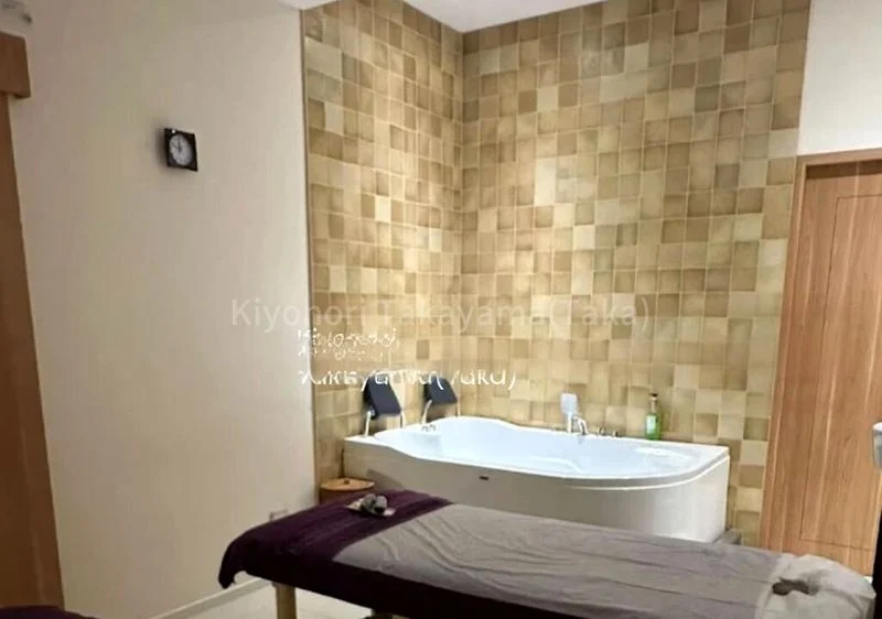 Shop / Shophouse for Rent: Plaza Singapura - Image 2