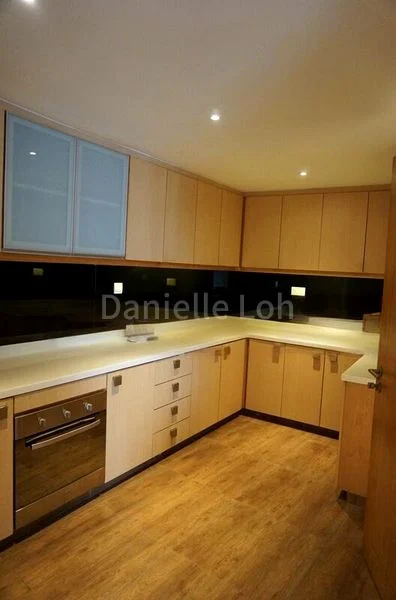 4 Bed Apartment (Condo) for Rent in Cairnhill Plaza - Image 2