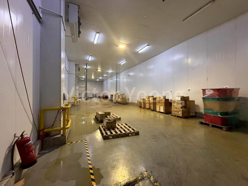 Factory / Workshop (B2) for Rent: Quality Road Cold Room - Image 4