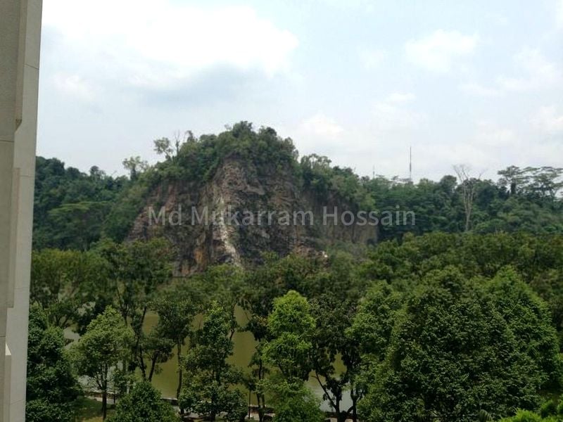 Room (Condo) for Rent in  Guilin View - Image 12