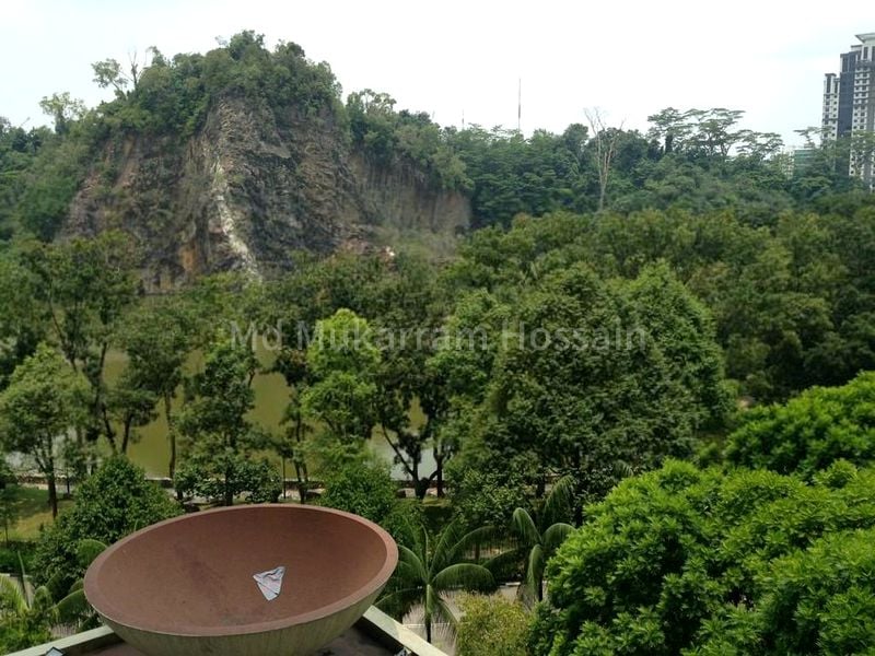 Room (Condo) for Rent in  Guilin View - Image 6