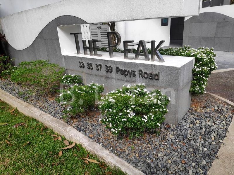 4 Bed Condo for Rent in  The Peak - Image 2