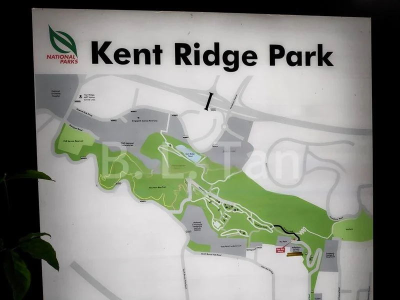 4 Bed Condo for Rent in  The Peak - Image 14