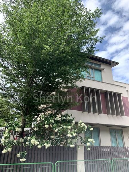 6 Bed Bungalow (Landed) for Rent in  Duchess Garden - Image 1