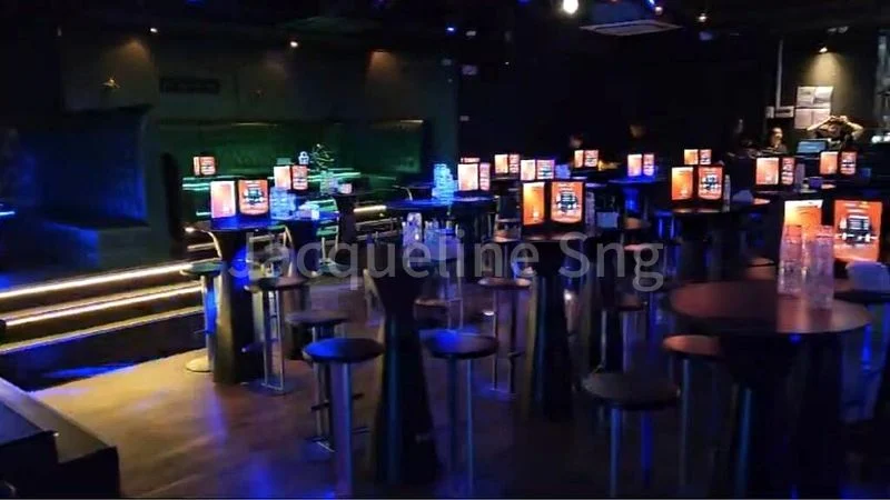 Food & Beverage for Rent: Ground-floor dance club, KTV, flower shop - Image 5