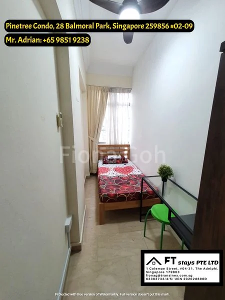 Common Room (Condo) for Rent in  Pinetree Condominium - Image 3
