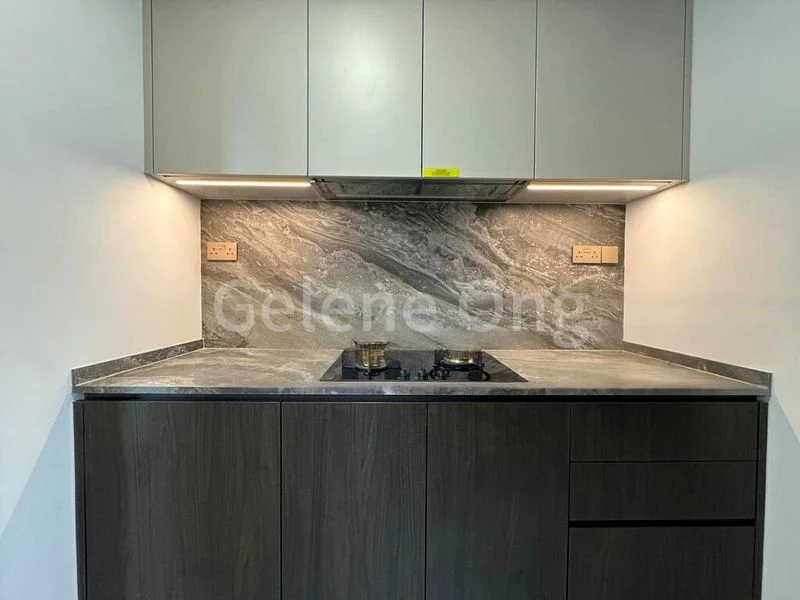 4 Bed Condo for Sale in  Leedon Green - Image 10