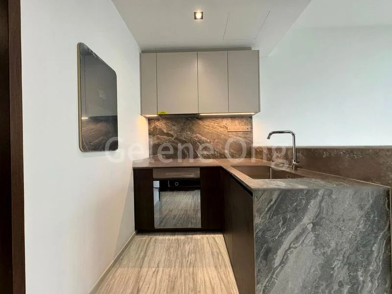 4 Bed Condo for Sale in  Leedon Green - Image 4