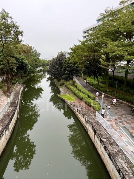 Common Room (HDB) for Rent in  310C Punggol Walk - Image 4