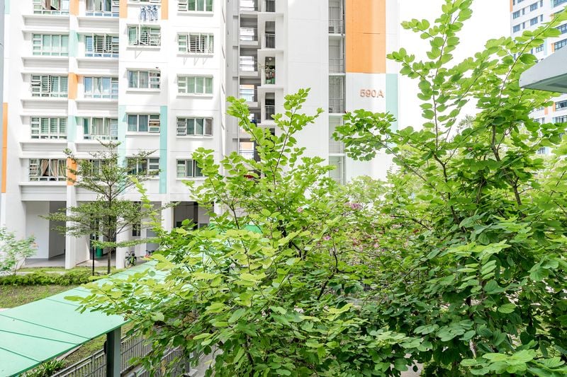 3 Room (3A) HDB for Sale in 590B Montreal Link - Image 10