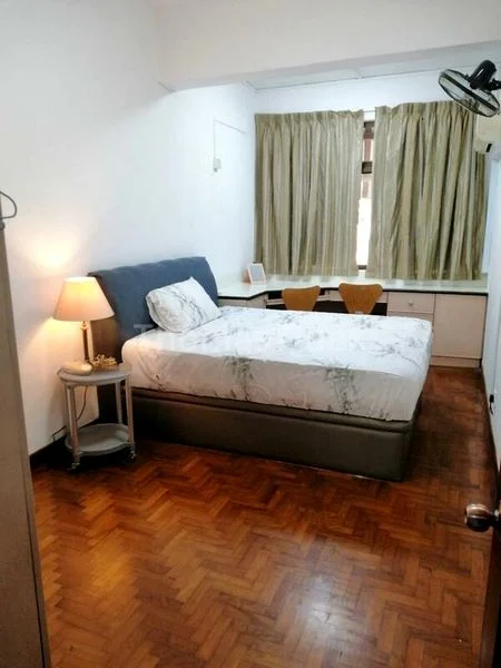 Common Room (Condo) for Rent in Geylang Conservation Area - Image 4