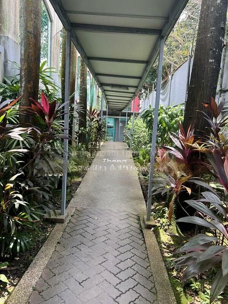 2 Bed Condo for Rent in  Hazel Park Condominium - Image 4