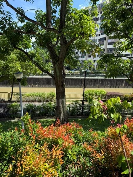 Common Room (Landed) for Rent in Lakeside Grove - Image 4