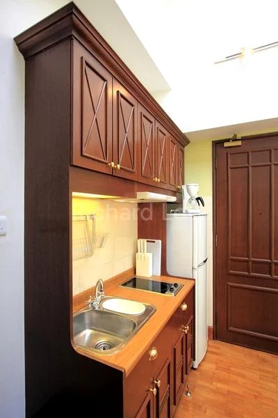 3 Bed Conservation House (Landed) for Rent in  Joo Chiat Place - Image 19