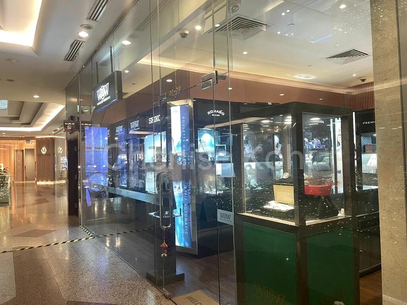 Shop / Shophouse for Rent: Orchard Rd - Retail/Services - Image 3