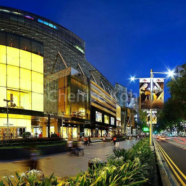 Shop / Shophouse for Rent: Orchard Rd - Retail/Services - Image 2