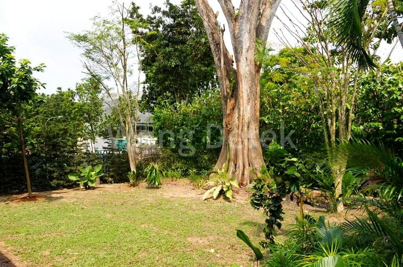 4 Bed Bungalow (Landed) for Rent in  Dunearn Estate - Image 10