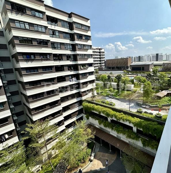 2 Room (2A) HDB for Rent in  131A Canberra Crescent - Image 9