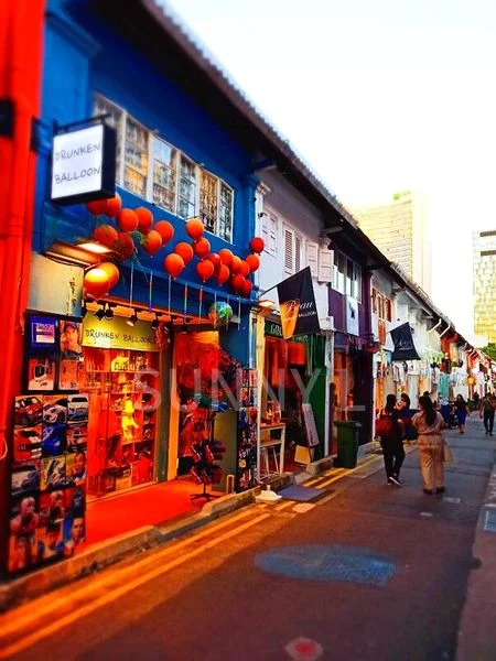 Food & Beverage for Sale: Prime Restaurant, Haji Lane - AAAAA Tourist Spot Shophouse - Image 12