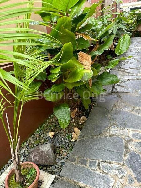 6 Bed Semi-Detached House (Landed) for Rent in  Kembangan Estate - Image 14