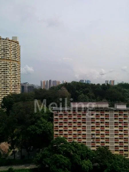 1 Bed Apartment (Condo) for Rent in  People's Park Complex - Image 7