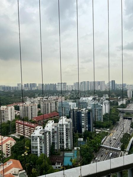 4 Bed Condo for Rent in  D'leedon - Image 11