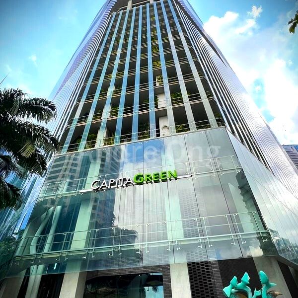 Office for Rent: CapitaGreen - Image 4