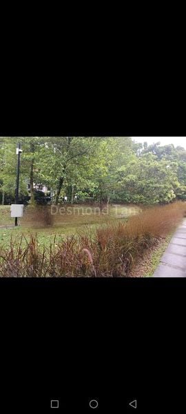 5 Bed Terraced House (Landed) for Sale in Thomson Three - Image 5