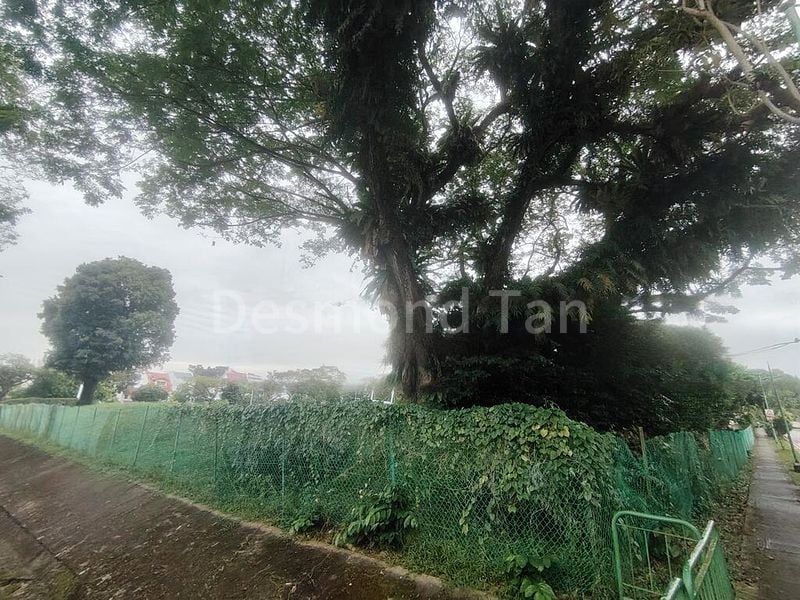 5 Bed Terraced House (Landed) for Sale in Thomson Three - Image 3