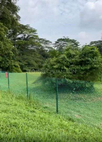 8 Bed Bungalow (Landed) for Sale in Tanglin Hill - Image 4