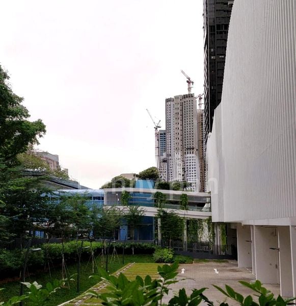 2 Bed Condo for Rent in  Commonwealth Drive - Image 10