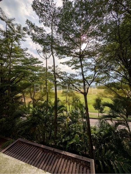 6 Bed Cluster House (Landed) for Rent in  Eleven @ Holland - Image 10