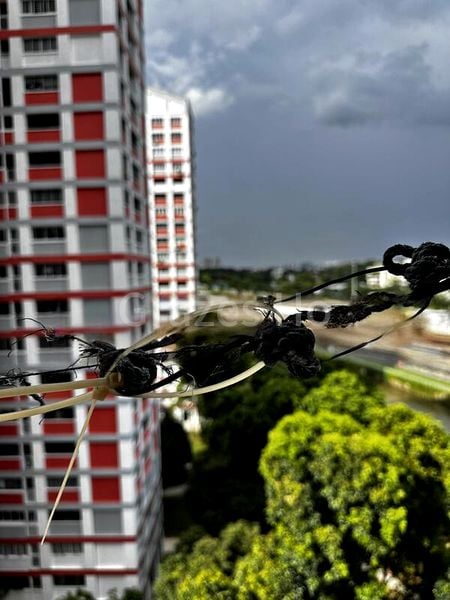 5 Room (5I) HDB for Sale in  163 Bishan Street 13 - Image 2