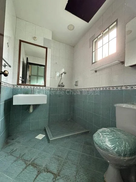 4+1 Bed Corner Terrace (Landed) for Sale in  Westville - Image 12