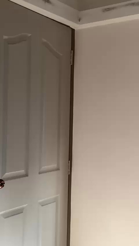 Common Room (HDB) for Rent in  861 Tampines Avenue 5 - Image 7