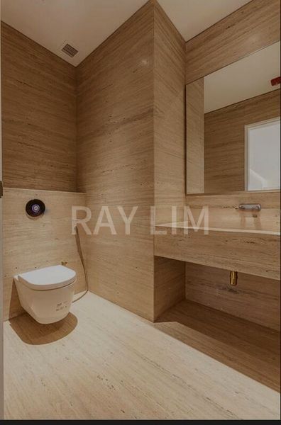 Shop / Shophouse for Sale: BEST Buy! 3.5 Sty, FREEHOLD Shophouse - Tenanted, Near an MRT! - Image 5