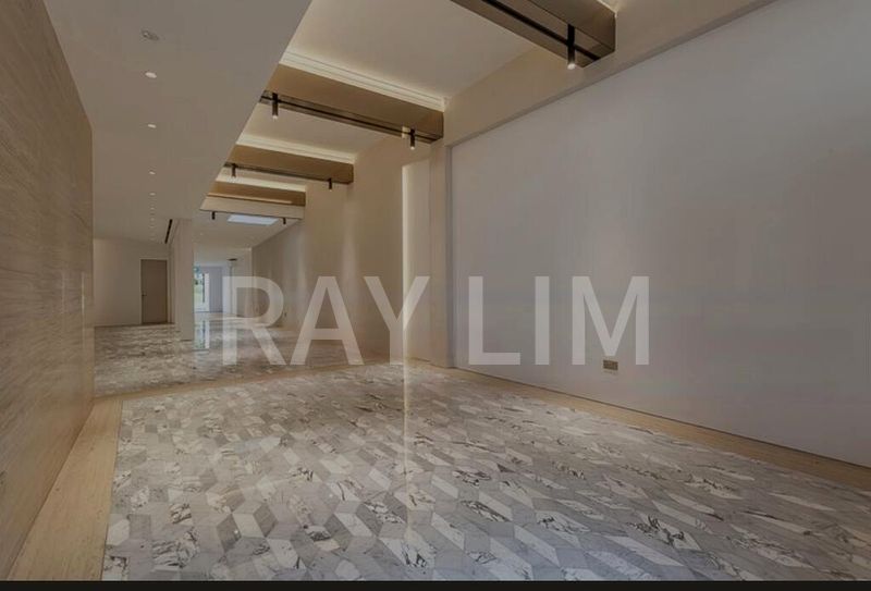 Shop / Shophouse for Sale: BEST Buy! 3.5 Sty, FREEHOLD Shophouse - Tenanted, Near an MRT! - Image 10