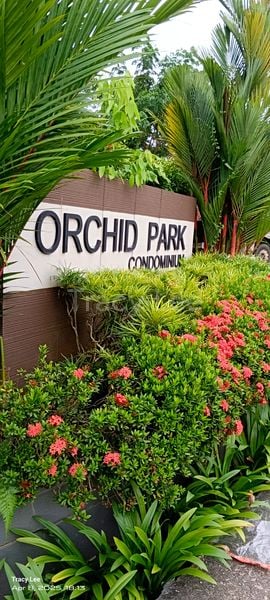 Common Room (Condo) for Rent in  Orchid Park Condominium - Image 2