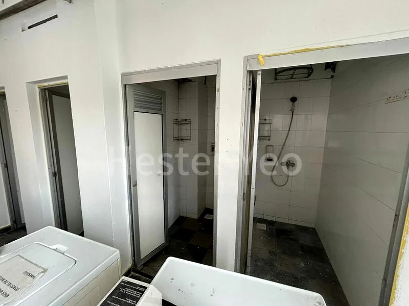 Shop / Shophouse for Rent: Mackenzie Road - Image 12