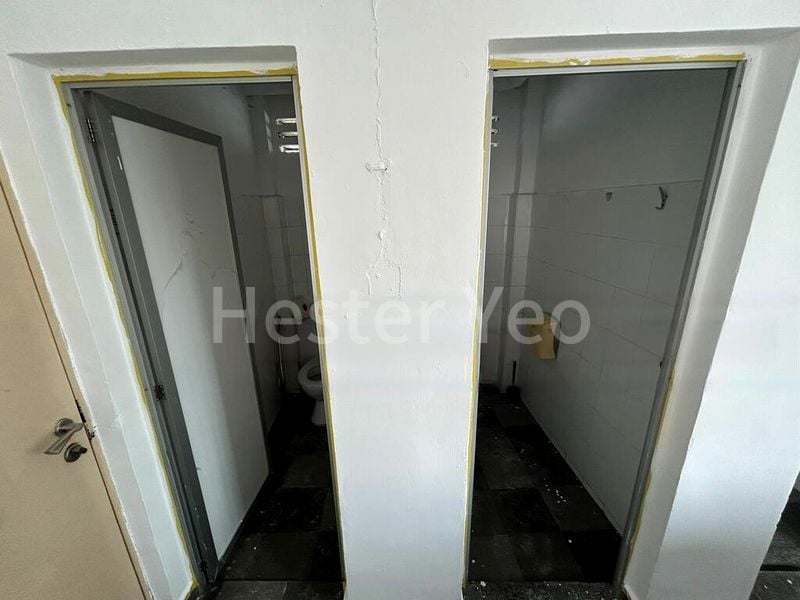 Shop / Shophouse for Rent: Mackenzie Road - Image 13