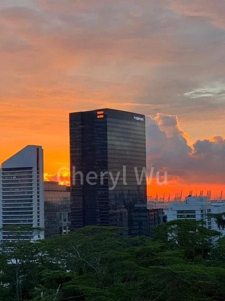 4 Room (4NG) HDB for Sale in 92B Telok Blangah Street 31 - Image 4