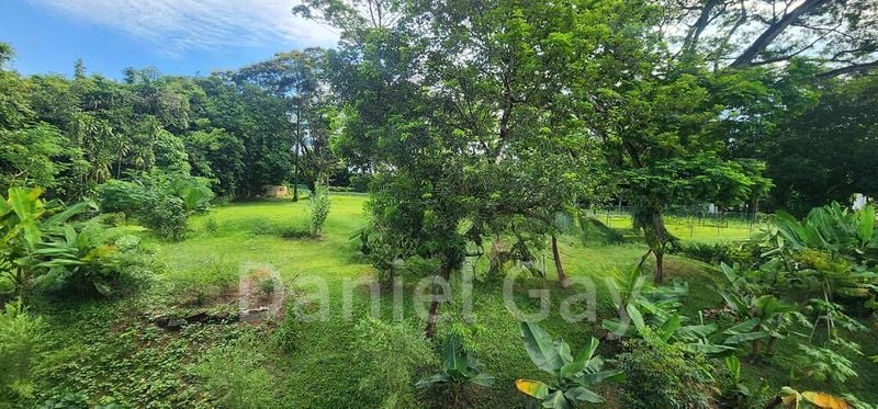 4 Bed Corner Terrace (Landed) for Sale in  Yio Chu Kang Road - Image 19